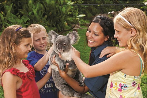 Kuranda Koala Gardens General Entry Ticket - Pubs Melbourne 0