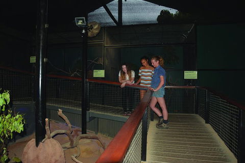 Kuranda Koala Gardens General Entry Ticket - Pubs Melbourne 2