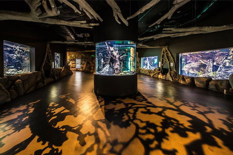 Cairns Aquarium By Twilight With 3-Course Dinner - Pubs Melbourne 3