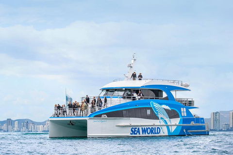 Whale Watching By Sea World Cruises - Pubs Melbourne 3
