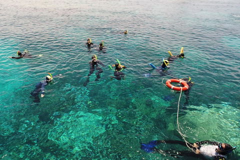 Seastar Luxury Outer Great Barrier Reef Island And Reef Tour From Cairns - Pubs Melbourne 2