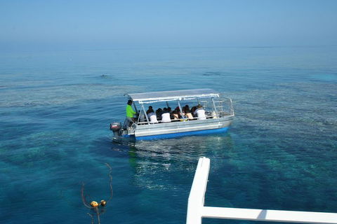 Seastar Luxury Outer Great Barrier Reef Island And Reef Tour From Cairns - Pubs Melbourne 5
