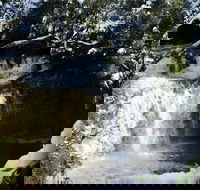 Cradle Mountain Day Tour from Launceston Including Lunch - Pubs Melbourne