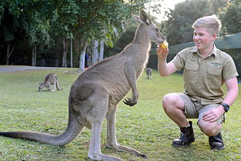 Small-Group Australia Zoo Day Trip From Brisbane - Pubs Melbourne 4