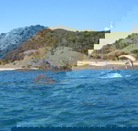 Kayaking with Dolphins in Byron Bay Guided Tour - Pubs Melbourne