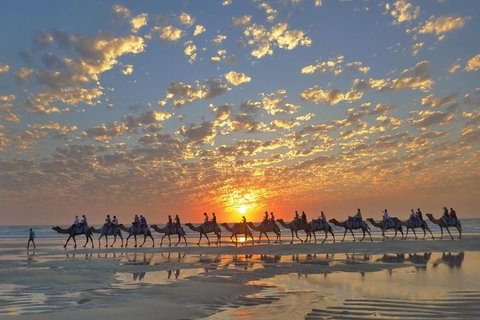 Broome City Sightseeing Tour With Optional Camel Ride - Pubs Melbourne 1