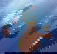 12-Day Great Barrier Reef Marine Conservation Program from Cairns - Pubs Melbourne