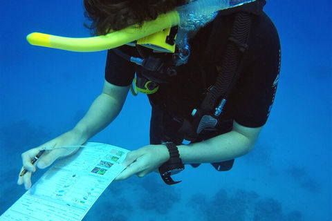 12-Day Great Barrier Reef Marine Conservation Program From Cairns - Pubs Melbourne 2