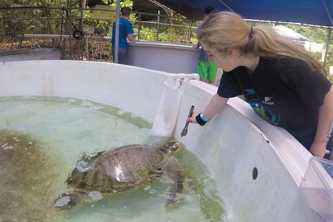 12-Day Great Barrier Reef Marine Conservation Program From Cairns - Pubs Melbourne 4