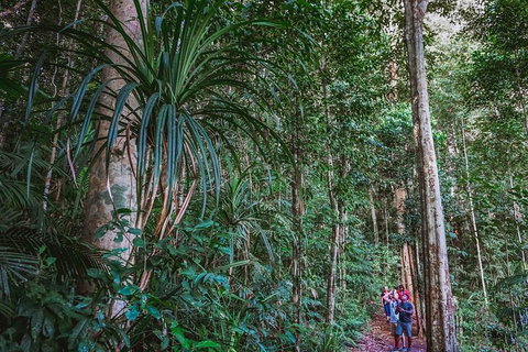 Atherton Tablelands Rain Forest By Night From Cairns - Pubs Melbourne 0