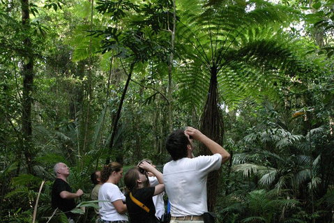 Atherton Tablelands Rain Forest By Night From Cairns - Pubs Melbourne 3