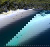 All-Inclusive Fraser Island Day Tour - Pubs Melbourne
