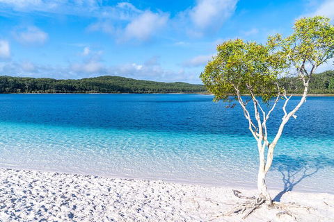 Lake McKenzie Full-Day Tour With Lunch From Hervey Bay - Pubs Melbourne 1