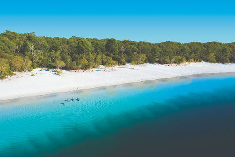 Lake McKenzie Full-Day Tour With Lunch From Hervey Bay - Pubs Melbourne 4