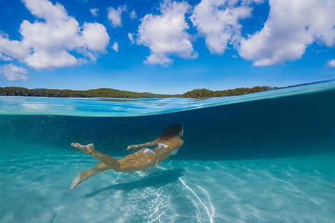 Lake McKenzie Full-Day Tour With Lunch From Hervey Bay - Pubs Melbourne 5