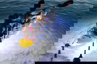 2-Day Moreton Island Tour from Brisbane or Gold Coast with Optional Nighttime Kayaking