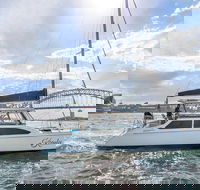Vivid 90-Minute Sydney Harbour Catamaran Cruise with BYO Drinks - Pubs Melbourne