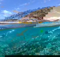 Great Barrier Reef Scenic Flight and Ocean Rafting Whitehaven Beach Day Trip - Pubs Melbourne
