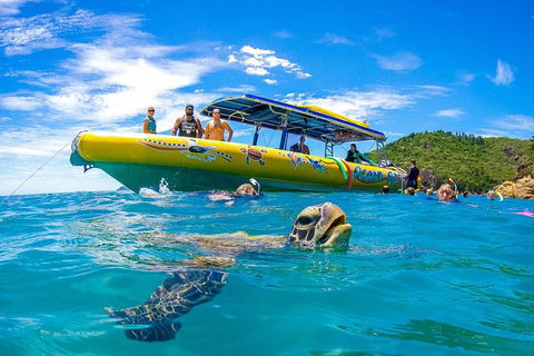 Great Barrier Reef Scenic Flight And Ocean Rafting Whitehaven Beach Day Trip - Pubs Melbourne 1