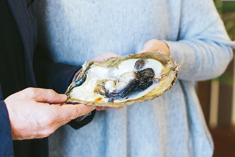 Half-Day Willie Creek Pearl Farm Tour With Helicopter Flight - Pubs Melbourne 3