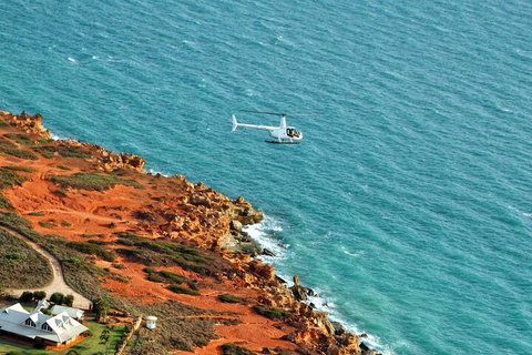 Half-Day Willie Creek Pearl Farm Tour With Helicopter Flight - Pubs Melbourne 4