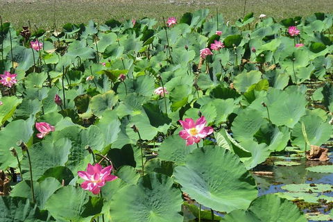 Darwin To Kakadu Day Trip By Air Including Yellow Water Cruise - Pubs Melbourne 2