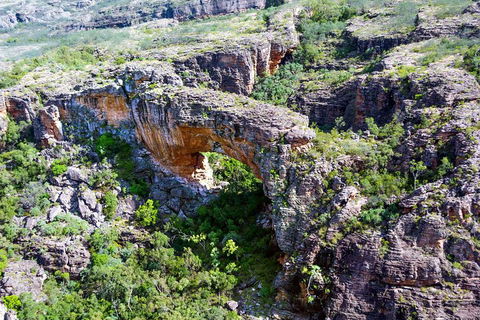 Darwin To Kakadu Day Trip By Air Including Yellow Water Cruise - Pubs Melbourne 4