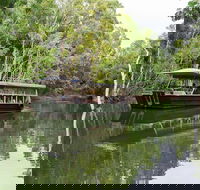 Hartley's Crocodile Adventures Breakfast with the Koalas - Pubs Melbourne