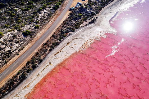 7-Day Exmouth Explorer Via Pinnacles Monkey Mia Ningaloo Reef Returning To Perth - Pubs Melbourne 0