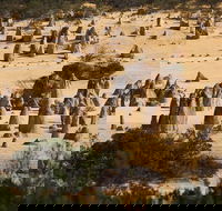 Pinnacles Sunset Dinner and Stargazing Experience a Small Group Tour - Pubs Melbourne