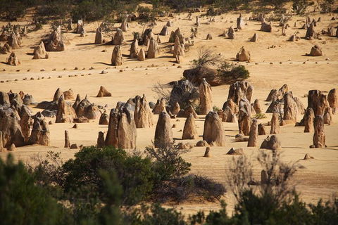 Pinnacles Sunset Dinner And Stargazing Experience A Small Group Tour - Pubs Melbourne 0