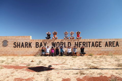 6-Day Coral Coaster From Perth To Exmouth One-Way Via Monkey Mia Ningaloo Reef - Pubs Melbourne 4