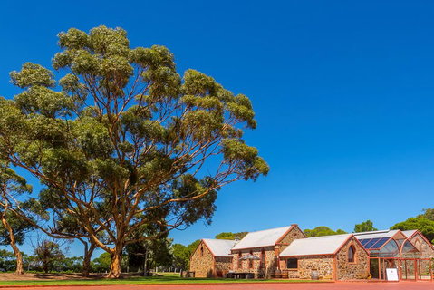 McLaren Vale And Glenelg Wine Tasting And Sightseeing (Half-day Afternoon) - Pubs Melbourne 5