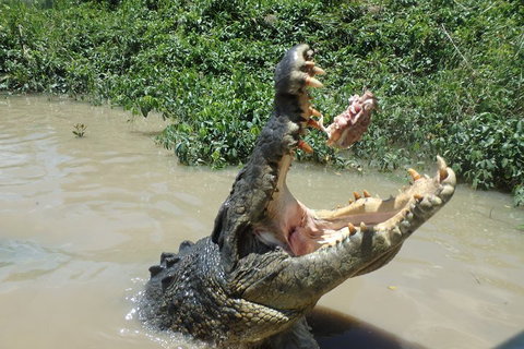 Litchfield And Jumping Crocodiles Full Day Trip From Darwin - Pubs Melbourne 3