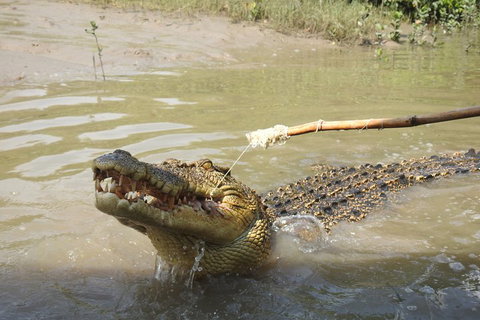 Litchfield And Jumping Crocodiles Full Day Trip From Darwin - Pubs Melbourne 4