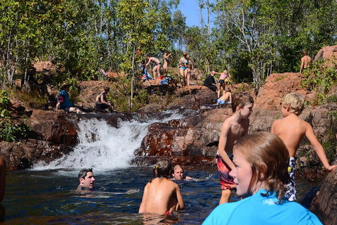 Litchfield And Jumping Crocodiles Full Day Trip From Darwin - Pubs Melbourne 5