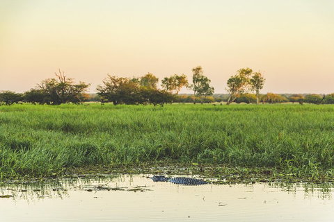 Yellow Water Cruise - Kakadu - Pubs Melbourne 3