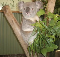 Blue Mountains Private Full-Day Tour from Sydney with Cruise - Pubs Melbourne