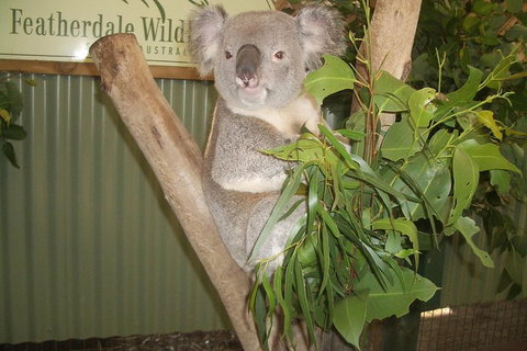 Blue Mountains Private Full-Day Tour From Sydney With Cruise - Pubs Melbourne 0