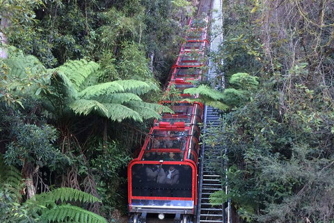 Blue Mountains Private Full-Day Tour From Sydney With Cruise - Pubs Melbourne 5