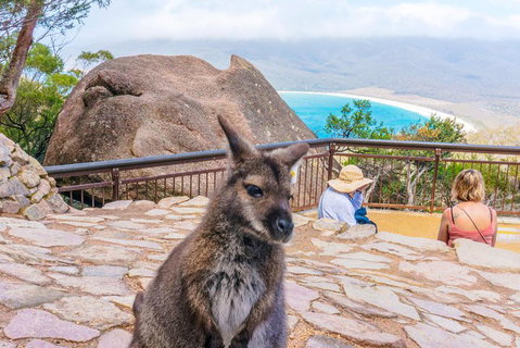 Wineglass Bay & Freycinet NP Full Day Tour From Hobart Via Richmond Village - Pubs Melbourne 0