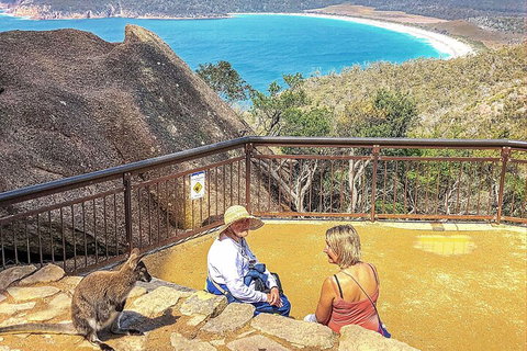 Wineglass Bay & Freycinet NP Full Day Tour From Hobart Via Richmond Village - Pubs Melbourne 1