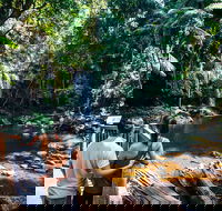 Aquaduck  Your choice of Gold Coast Rainforest Tour - Pubs Melbourne