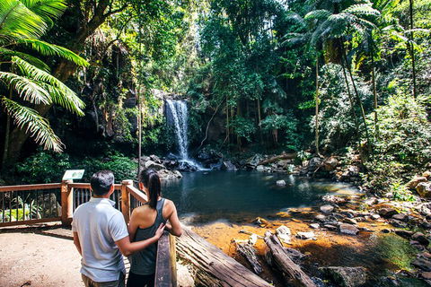 Aquaduck & Your Choice Of Gold Coast Rainforest Tour - Pubs Melbourne 0