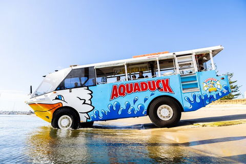 Aquaduck & Your Choice Of Gold Coast Rainforest Tour - Pubs Melbourne 3