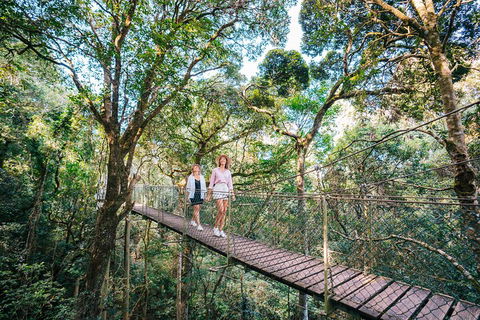 Aquaduck & Your Choice Of Gold Coast Rainforest Tour - Pubs Melbourne 4