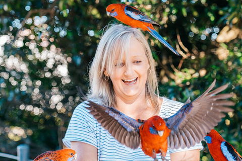 Aquaduck & Your Choice Of Gold Coast Rainforest Tour - Pubs Melbourne 5