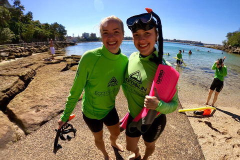 Manly Snorkel Trip And Nature Walk With Local Guide - Pubs Melbourne 1