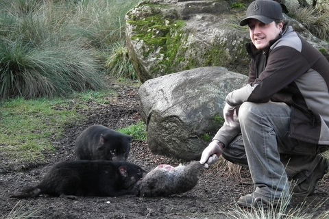 After Dark Tasmanian Devil Feeding Tour At Cradle Mountain - Pubs Melbourne 2