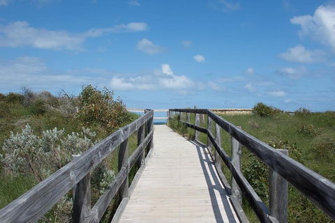 Yanchep & Lancelin - Wildlife, Cave And Sands - Pubs Melbourne 2
